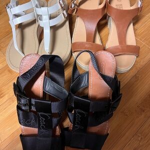 Coach Black and Tan Sandals Trio